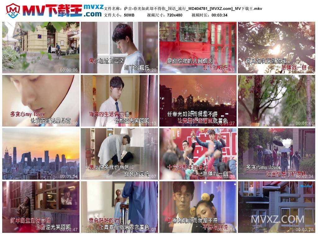 萨吉-春光如此却不得你_国语_流行_MD404781